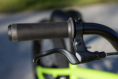 Fairdale Macaroni 20" (Cowabunga Green)