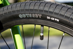 Fairdale Macaroni 24" (Cowabunga Green)