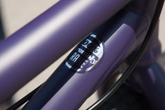 Sunday Forecaster Park - Maca Perez Grasset Signature (Matte Midnight Purple with 20.5" tt)